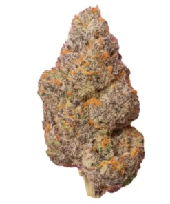 Kup Baked Bags Gushers – Premium THCa Flower Polska