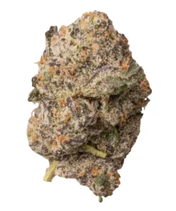 Kup Baked Bags Jungle Juice – Premium THCa Flower