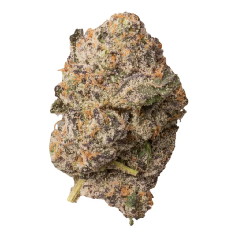 Kup Baked Bags Jungle Juice – Premium THCa Flower